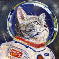 SpaceCat(@SpaceCatKyle) 's Twitter Profileg