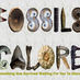 Fossils Galore (@fossilsgalore) Twitter profile photo Fossils Galore (@fossilsgalore) Twitter profile photo