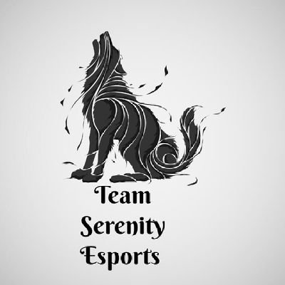 Team Serenity Esports