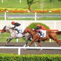 hep1eksik (@hep1eksik) Twitter profile photo