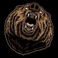 VOTD BEARS(@VOTD_TPBears) 's Twitter Profile Photo