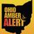 ohioamberalert's profile image