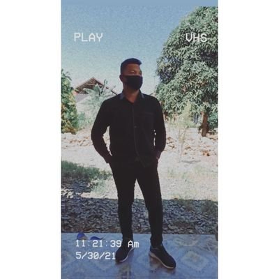 Rosetea51259695's profile picture. 