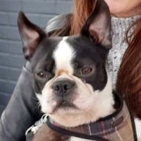 Matt J Smith 🏴 (@_urban_spaceman) 's Twitter Profile Photo Matt J Smith 🏴 (@_urban_spaceman) 's Twitter Profile Photo