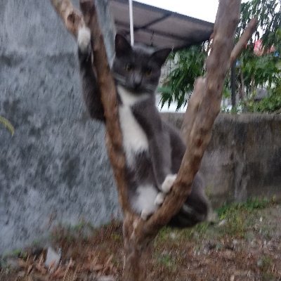 ArieVanMoerti's profile picture. Aku adl kalian yg lain, bagai tetes2 air yg menyatu, keduanya bersifat dan memiliki dasar zat yg sama, krn antara aku ruang dan wktu tak lg saling menghijabi