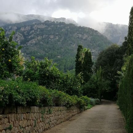 Deseando que algún día, mi isla, vuelva a ser LA ISLA DE LA CALMA🍀