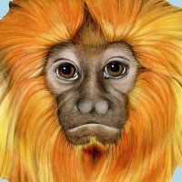 Gözlerime Bak | Look Into My Eyes (@_lookintomyeyes) Twitter profile photo