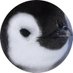 ꒰ ⸝⸝ɞ̴̶̷ ·̮ ɞ̴̶̷ ⸝⸝꒱ (@twitytweet0802) Twitter profile photo ꒰ ⸝⸝ɞ̴̶̷ ·̮ ɞ̴̶̷ ⸝⸝꒱ (@twitytweet0802) Twitter profile photo