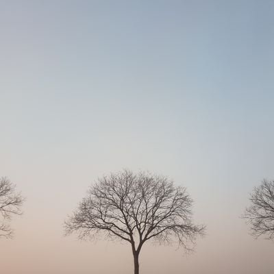 cheesetheen's profile picture. =carna