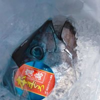 はやし🎣(UWAGOTO STREET) (@m_doing_stuff) 's Twitter Profile