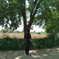 Nabeel Anwar Dhakku (@ndhakku) 's Twitter Profile Photo Nabeel Anwar Dhakku (@ndhakku) 's Twitter Profile Photo
