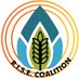 RISE Coalition (@RISEandEngage) Twitter profile photo