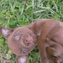 Susan Hailey - @shailey29 - Twitter