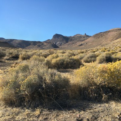 Society of Ecological Restoration, University of Nevada, Reno Chapter.