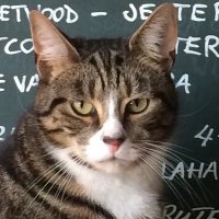 Olde cottage (@cottageolde) 's Twitter Profile Photo Olde cottage (@cottageolde) 's Twitter Profile Photo