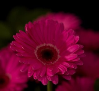 hospiheks's profile picture. Leerkracht basisonderwijs, ex-verpleegkundige, moeder van een tweeling(2008), pleegmoeder, elektrische rijder, columnist en gewoon gelukkig