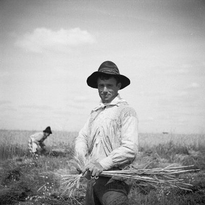 RuralPortugal Profile Picture