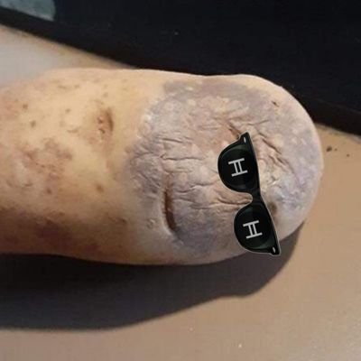 How are you holding up? Because I'm a potato! OG HBARtato 🥔 $HBAR