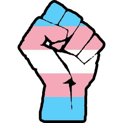 Campaigning for a kinder world for trans/non-binary people.
Grassroots movement that advocates rather than self-aggrandising.