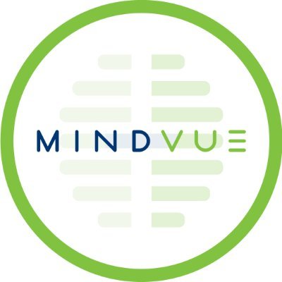 MindVue optimizes performance and improves mental wellness through a learning experience platform that measures and builds mindset skills.