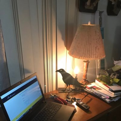 BeMoreWriter's profile picture. I read a lot of emails, talk a lot about words, and do my best to help students find their writing voices. Sharing my world with my golden retrievers.
