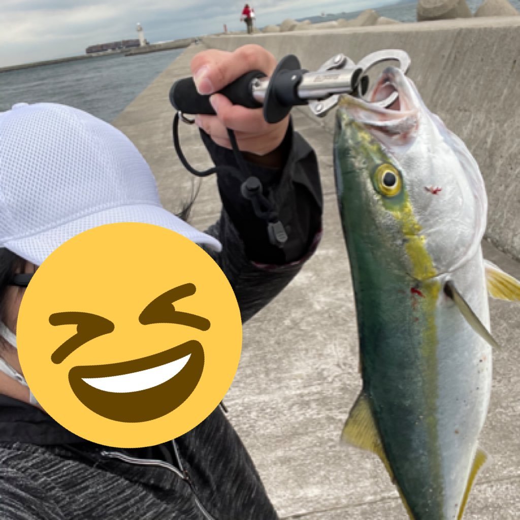 Raichi12D's profile picture. 猫に飼われてる元路線バス運転士です。 #メガソーラー反対 #移民政策断固反対 #夫婦別姓反対 #女性天皇反対 #中国断交