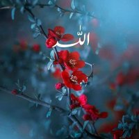 M.Imran (@imran_mushtaq) 's Twitter Profile