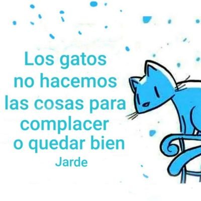 🇵🇦MMMMM YA...
Considero lo q hizo RM x Panamá
NOO trabajé en el Gobierno
NOO pienso hacerlo
NOO busco puesto político
y NOO soy Ñame🐢ni PRD🦀