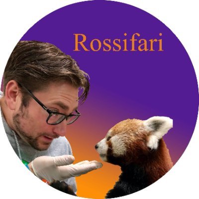 rossifari Profile Picture