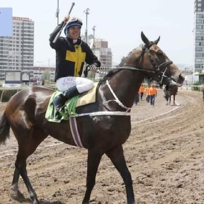 Jockey fina sangres de carrera 🏇🏇🏇