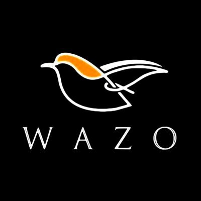 wazofurniture Profile Picture