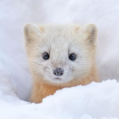 d4rknight1050's profile picture. 