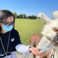 Yiling Xiao (@yilingx1) 's Twitter Profile