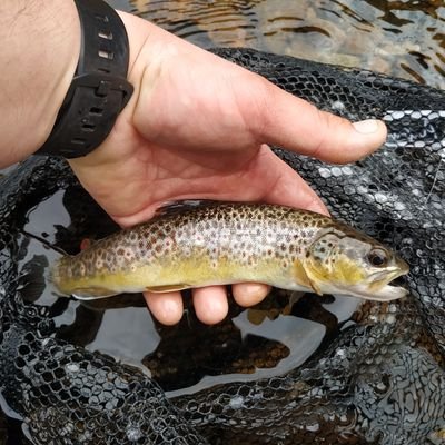 j_duquesne's profile picture. 