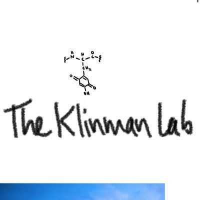 Klinman Lab @UCBerkeley @UCB_Chemistry. Hydrogen Tunneling, Protein Dynamics, and PQQ Biosynthesis.