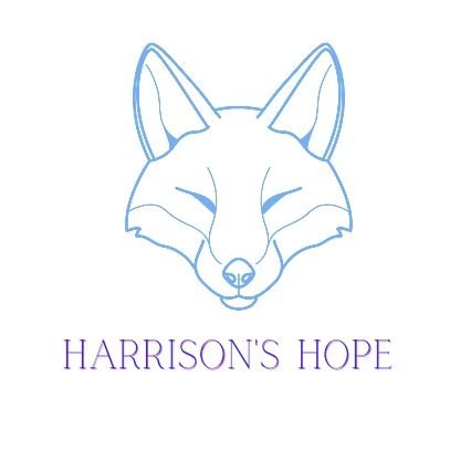 Harrison Hassall grew his wings at 2 days old due to complications at birth in memory of our son we are raising funds for Leicester's infirmary NNU 👼👼💙💙
