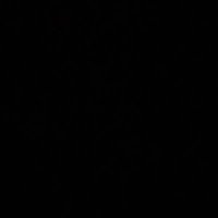 eitan7 (@eitan78) 's Twitter Profile