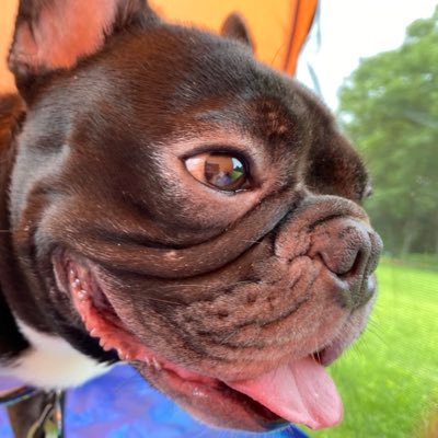 SCAcm48Y2TrL021's profile picture. 2021年5月から本格的にせどり開始。 副業サラリーマン。Amazonメインに販売。  ☆年内に月利益20万目標☆