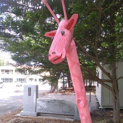 斜里町来運神社の湧水すぐそばにあるﾗｲﾀﾞｰﾊｳｽ&ｷｬﾝﾌﾟ🏡一棟貸し格安コテージです🐾
6月～9月はゆるりと屋外ｶﾌｪやってます☕😄
お家の予約はじゃらんや楽天などのサイトからしか受け付けておりません。
https://t.co/EuXpLZgaTQ