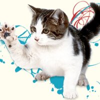 María Rosa (@soramus) 's Twitter Profile Photo