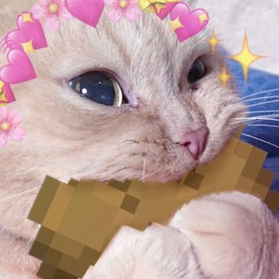 váš lokální velkoobchod s pečivem // 100% obsah celých zrn