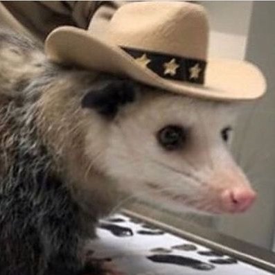 🌒〰️🌘さんのプロフィール画像