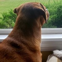 BASU (@basu070862) 's Twitter Profile