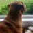 BASU070862's profile image