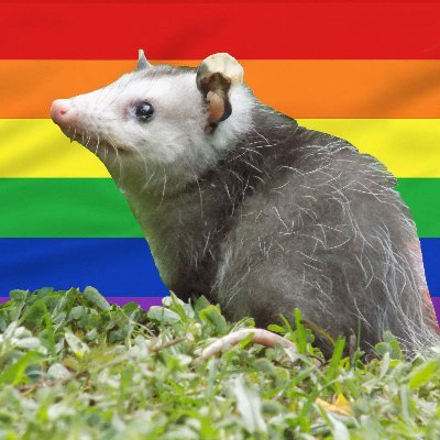 WiseWoodrow's profile picture. angry energy