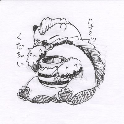 HaraKo_senshu's profile picture. 専修大学 文学部 歴史学科 少林寺拳法部