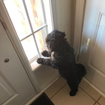 AustinWillis64's profile picture. Trying my best at life