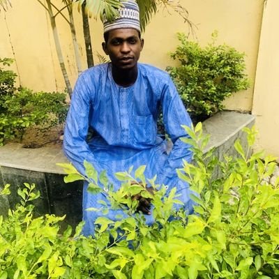 AbbasAlhajiDau2's profile picture. 