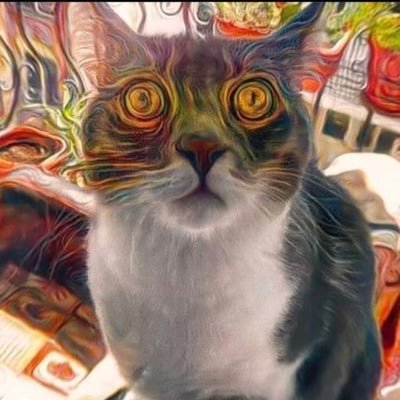 crypt0kitten's profile picture. mew