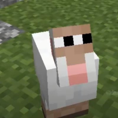 Compilado de imagens amaldiçoadas do Minecraft